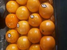 Апельсин Вашингтон