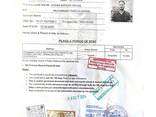 ВНЖ Литвы на 2 года / Приглашение в Литву - zdjęcie 1