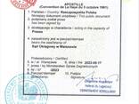 Apostille (Апостиль) w Polsce - apostilowanie dokumentów - zdjęcie 1
