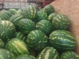 Арбуз Оптом Доставка