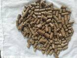 Biomass groundnut briquettes and groundnut pellets - фото 2