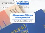 Blue Card / Голубая карта / Карта побыта для программистов - фото 1