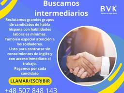 Buscamos intermediarios