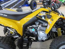 CAN-AM DS 250