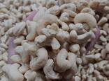 Cashew Nuts from Vietnam - zdjęcie 3