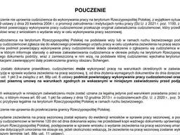 Cезонные приглашение срочные до 2 дней не срочные 5-7 рабочих дней