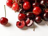 Черешня сорт бычий глаз из Узбекистана - фото 4