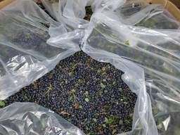 Черника замороженная