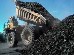 Coal, coal briquettes of Russian production in industrial volumes, as well as all services