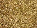 DDGS / Ziarno Bardy (kukurydza) / Bard grain - 100% corn / Барда зернова (100% кукуруза) - photo 3