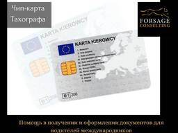 Документы для водителей: код 95, чип карта для тахографа, замена прав на польские
