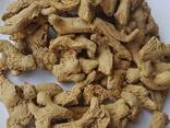 Dry Whole Ginger from Vietnam - zdjęcie 3