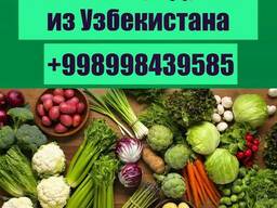 Экспорт сельхозпродукции из Узбекистана