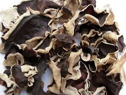 Świeże i suszone grzyby