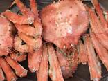 King Crab Legs Quality King Crabs Snow Crab, Alaskan King Crabs, Norwegian quality crabs - zdjęcie 3