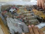 King Crab Legs Quality King Crabs Snow Crab, Alaskan King Crabs, Norwegian quality crabs - zdjęcie 1