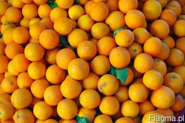 Фрукты из Европы логистические решения Апельсин
