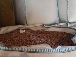 Paliwo/pelety drzewne