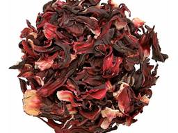 Гибискус (Hibiscus)