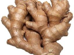 Ginger available in all quantities