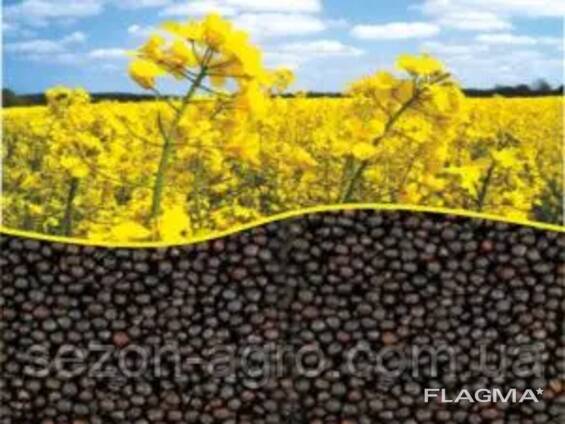 Golden Oil Trade sells rapeseed wholesale.