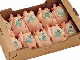 Cheap Quality Frozen Whole Chicken