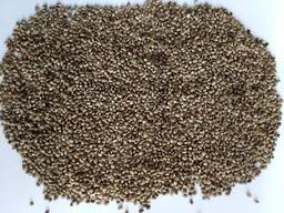 Hemp seeds / nasiona konopi
