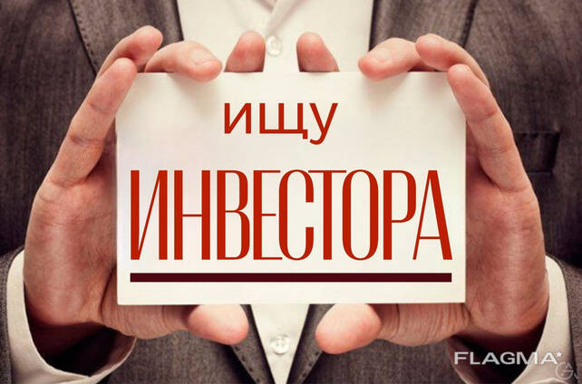 Ищу инвестора.