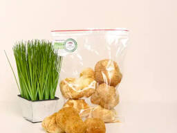 Jeż lwia grzywa 50g