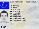 Karta Kierowcy Карта Водителя Чип Карта - zdjęcie 1