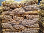 Картошка в мешках - фото 3