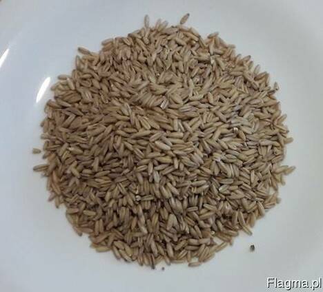 Крупа овсяная цельнозерновая