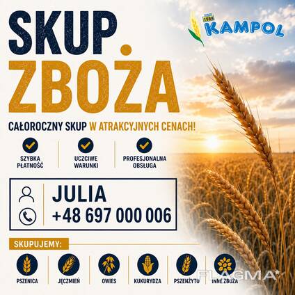 Kupujemy pszenicę