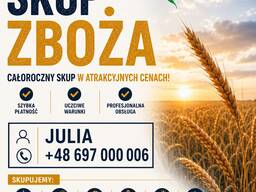 Kupujemy pszenicę