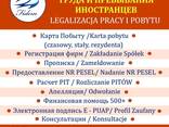 Легализация иностранцев в Польше! - фото 2
