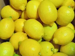 Lemon