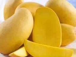 Mango at the lowest price. harvest 5/2019 .