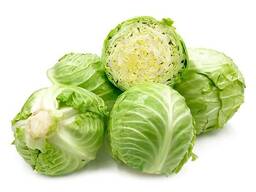 Młoda kapusta