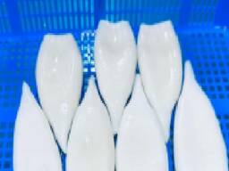 Мороженные рыба и морепродукты в Польшу от производителя из КНР