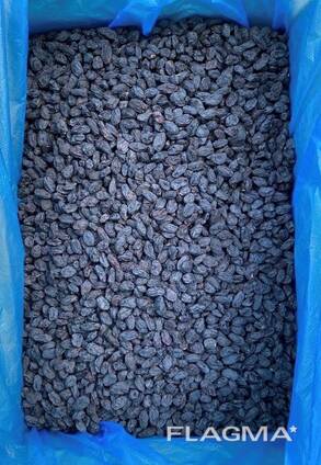 Natural Blue Raisins (Soyagi)
