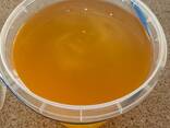 Natural Flower Honey Wholesale from the Manufacturer! Ukraine - zdjęcie 1