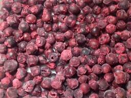 Натуральные соки прямого отжима NFC и фруктовая продукция