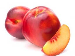 Нектарины сорт супер лола из Узбекистана