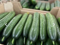 Świeże ogórki, świeże pomidory