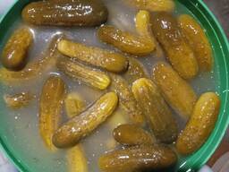 Огурцы соленые оптом