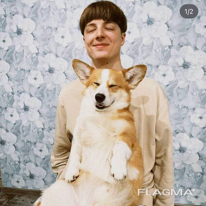 Opieka nad zwierzętami / spacery z psami