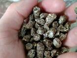 Pellet Drzewny