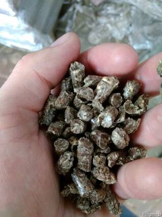 Pellet Drzewny