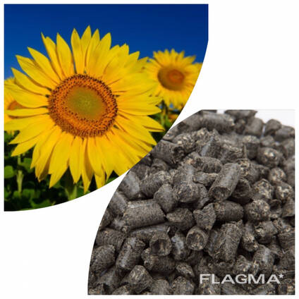 Pellet z łuski słonecznika