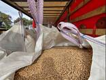 Wood pellets - фото 4